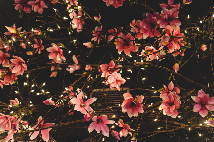 fotografia slubna katowice, wesele w patio park