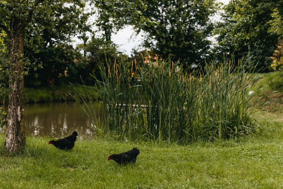 rustykalne wesele, rustykalny ślub, ślub w stodole, wesele w stodole, folwark wiązy, reportaż ślubny, nietypowe wesele, wesele z klasą, najlepszy fotograf ślubny, ślub w krakowie, wesele w folwarku wiązy, piękny ślub, ślub, wesele