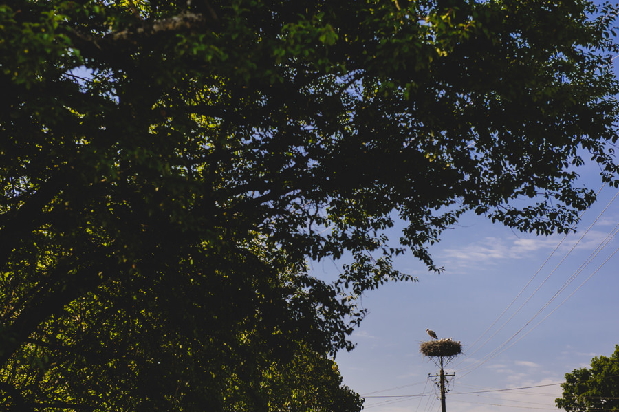 fotograf bialystok, lipcowy ogrod wesele, slub w katedrze bialostockiej