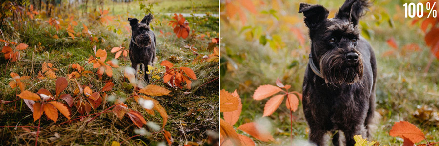 Tamron 24-70 f/2.8 G2 recenzja obiektywu