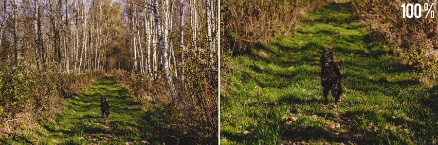 Tamron 24-70 f/2.8 G2 recenzja obiektywu