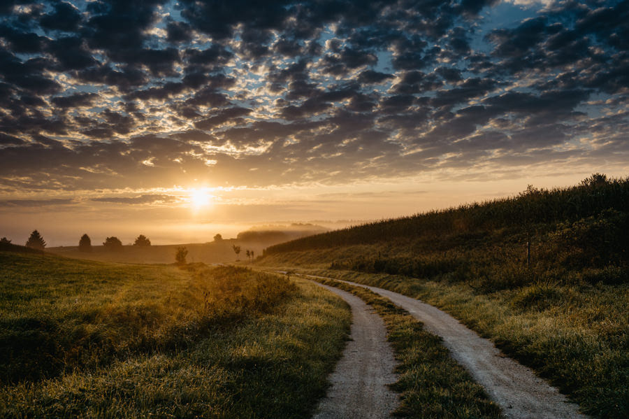 slub humanistyczny, ceremonia w plenerze, panna mloda boho, boho wesele, rustykalny slub, hofgut maisenburg