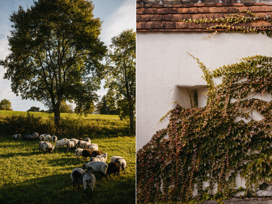 slub humanistyczny, ceremonia w plenerze, panna mloda boho, boho wesele, rustykalny slub, hofgut maisenburg