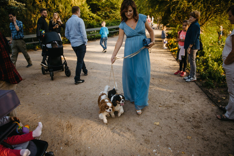 pieski na ślubie, psi przyjaciel na ceremonii ślubnej