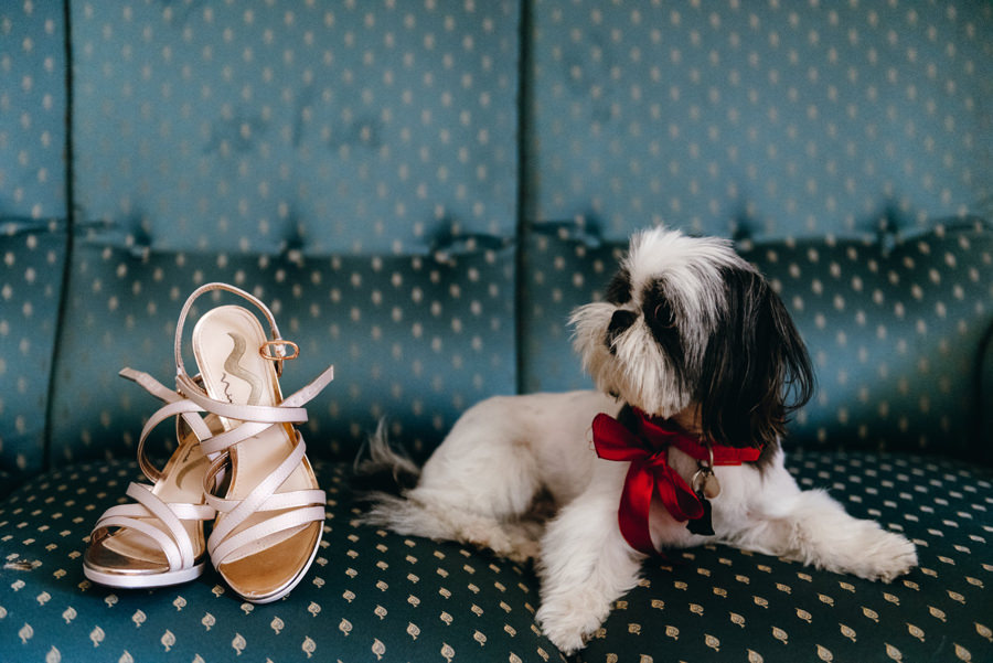 detale ślubne, pies na ślubie, przygotowania pani młodej, buty do ślubu