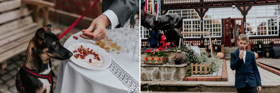 złoty Jar Wesele złoty stok