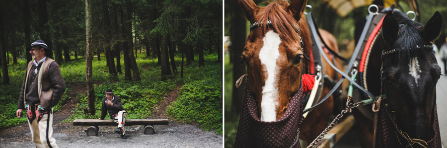 gazdowie nad morskim okiem, dorożka, konie w dorożce, morskie oko