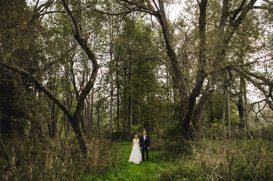bieszczady sesja las