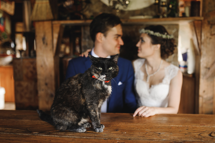 kot stol oczy para mloda