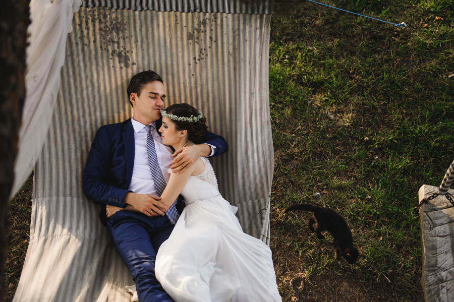 lezak kot chillout trawa