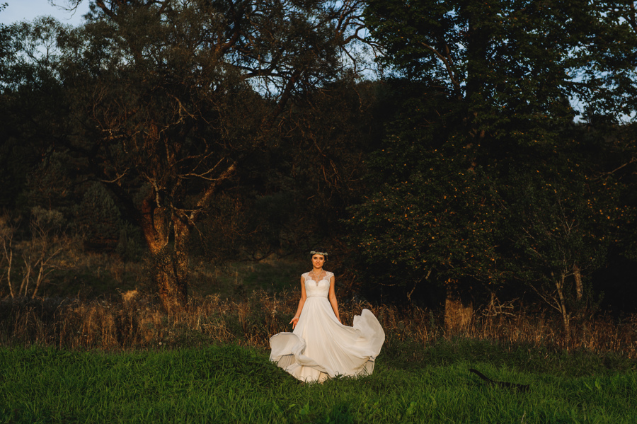 sukienka kot drzewa laka