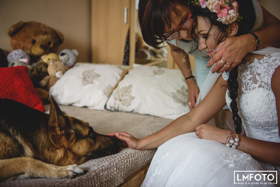 pies milosc przyjaciel dlon rodzina