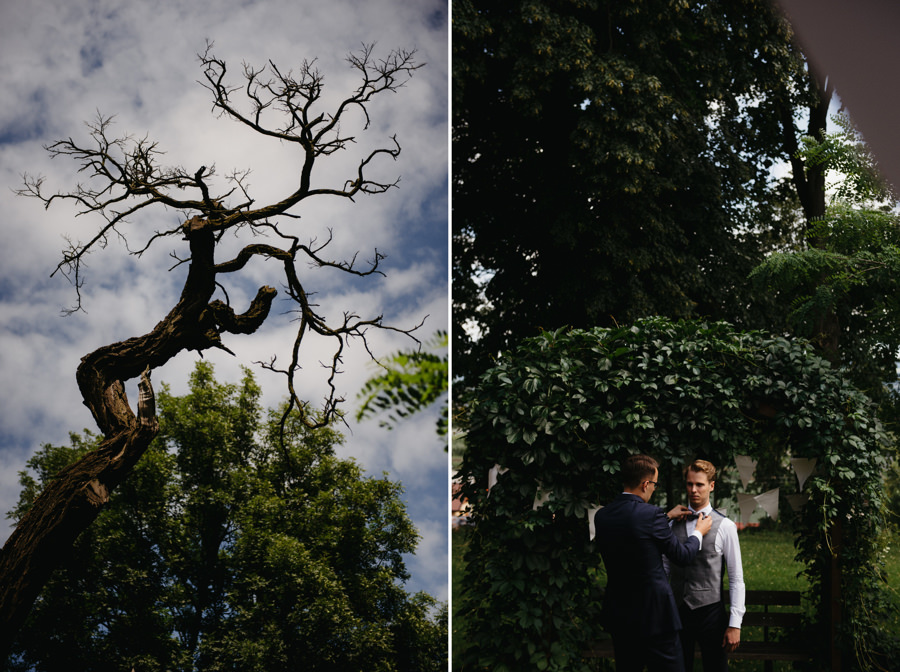 drzewo przygotowania pan mlody