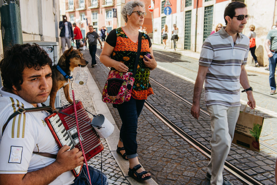 pies ulica ludzie street