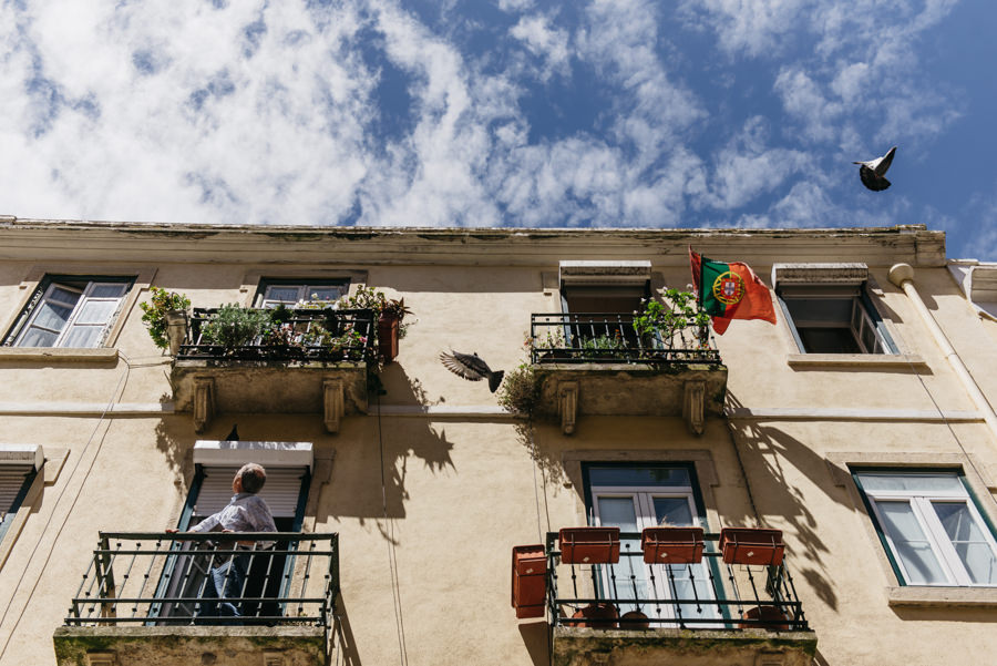 golabie kamienica lizbona