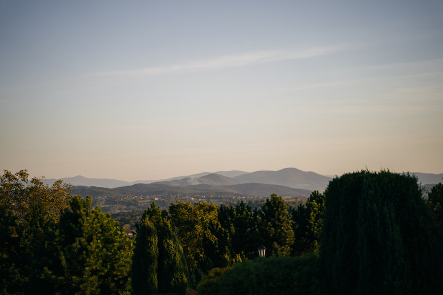 folwark zalesie, sesja ślubna, reportaż ślubny, sukienka, panna młoda, pan młody, wesele z pięknym widokiem