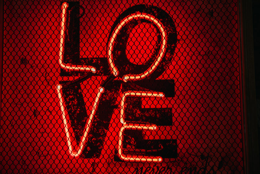 Reduta Banku polskiego, ślub w Warszawie, Fotograf ślubny Warszawa, zdjęcia ślubne Warszawa, flamingi