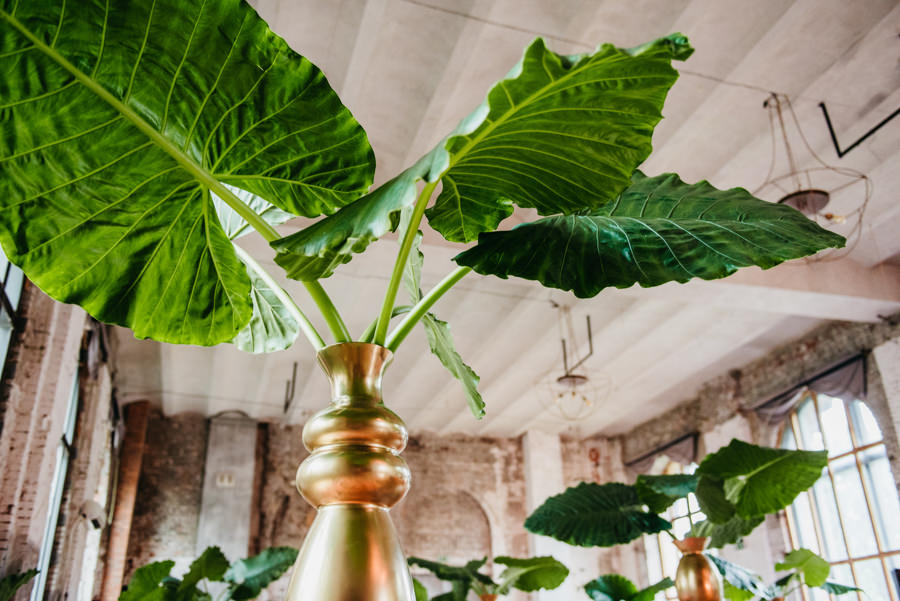 Reduta Banku polskiego, ślub w Warszawie, Fotograf ślubny Warszawa, zdjęcia ślubne Warszawa, flamingi