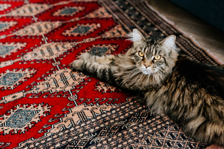 oczyszczalnia miejsce, reportaż ślubny, zdjęcia ślubne , ludwików, lmfoto, para młoda, panna młoda, lmfoto