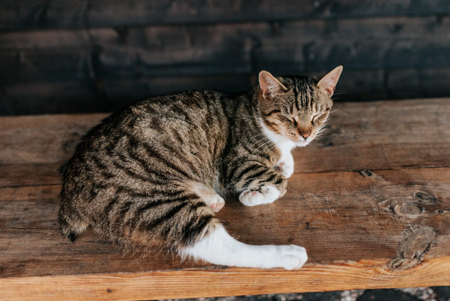 oczyszczalnia miejsce, reportaż ślubny, zdjęcia ślubne , ludwików, lmfoto, para młoda, panna młoda, lmfoto