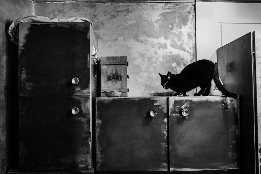 krakow ślub, ślub w marcyporebie, wesele pod krakowem, wesele w Marcyporebie, para mloda, slub po krakowsku